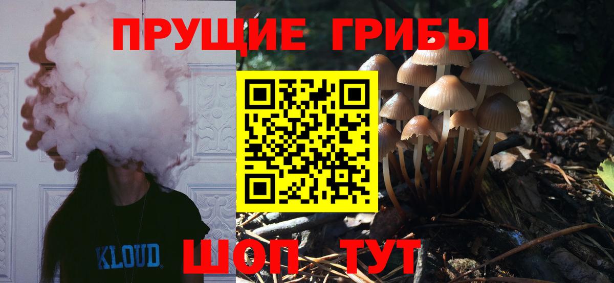 Псилоцибиновые грибы мицелий Соликамск
